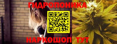 гидропоника Бугуруслан
